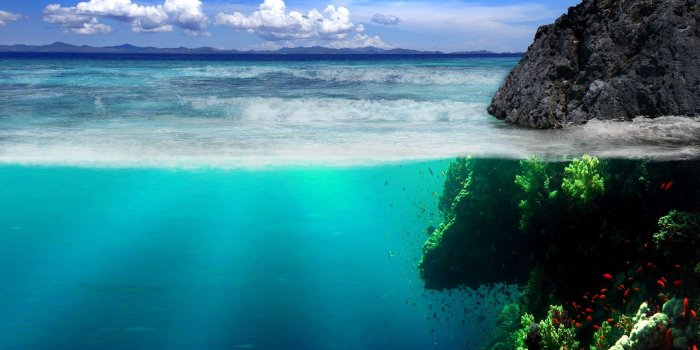 1920x1080 Download Nature Wallpapers Full HD 1080p Photo Desktop Backgrounds