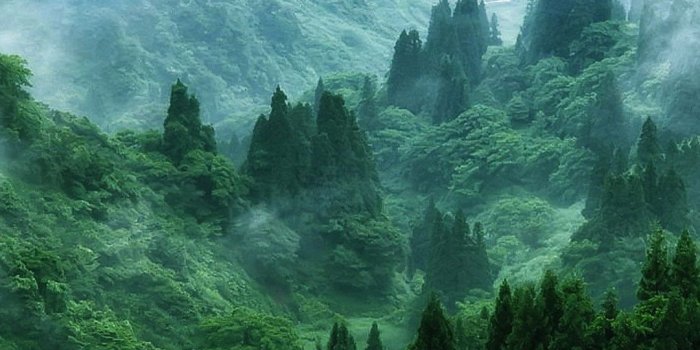 1080x1920 1080x1920 Free Beautiful HD d Nature Wallpaper For Computer and