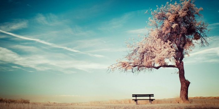 1980x1080 Nature HD Wallpapers Android - Hd Wallpapers Free Pics