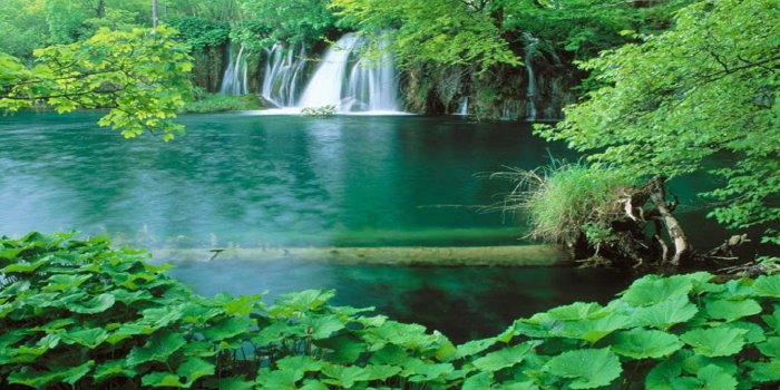 1920x1080 66+ Nature Scenes Wallpapers on WallpaperPlay