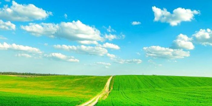 720x1280 HD Nature Wallpaper for Android - APK Download