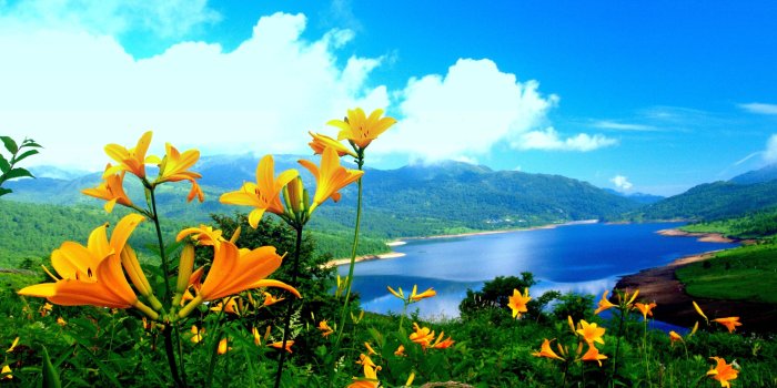 3648x2052 77+] Nature Wallpaper Hd on WallpaperSafari