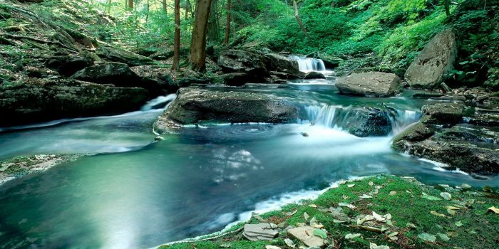 1600x900 Nature Desktop Wallpaper (57+) - Free Download | Techpresentations