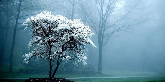 2560x1600 Latest full HD Wallpapers