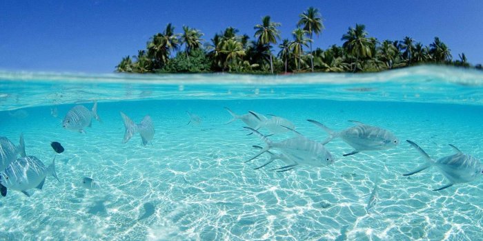 1600x1000 Nature Wallpapers For Desktop HD (88+)