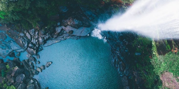 1000x1780 100+ Stunning Rainforest Pictures [HD] | Download Free Images on