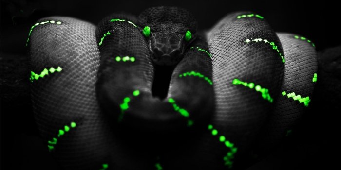 1920x1080 Best 25+ Razer Phone Wallpaper on HipWallpaper | iPhone Wallpaper