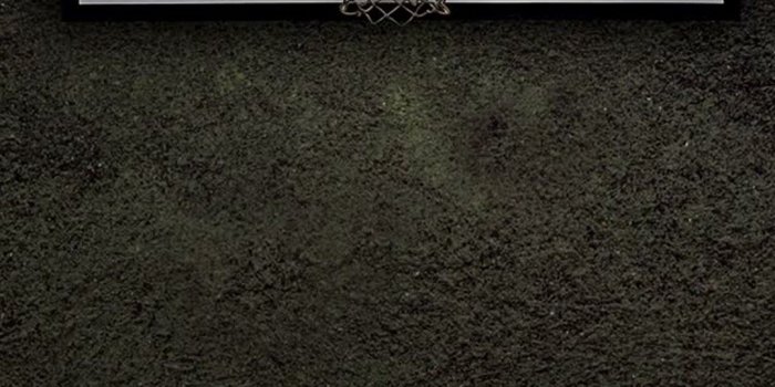 1080x1920 NBA Basketball Wallpaper iPhone HD | 2019 Basketball Wallpaper