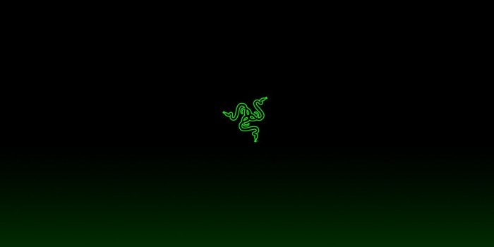 1600x1000 71+] Razer Gaming Wallpaper on WallpaperSafari