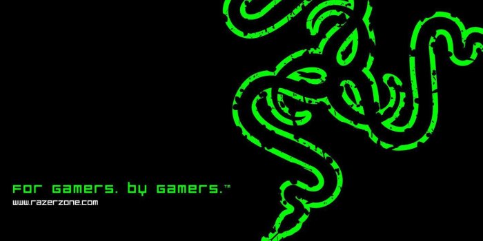 1440x900 Razer Gaming Wallpapers