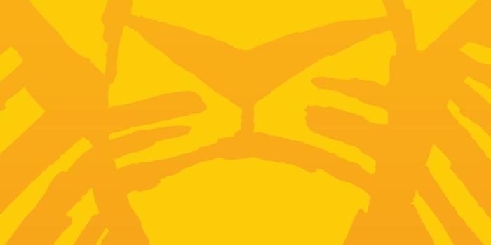 1080x1920 Oh, we just can't wait…. to download these new Lion King phone