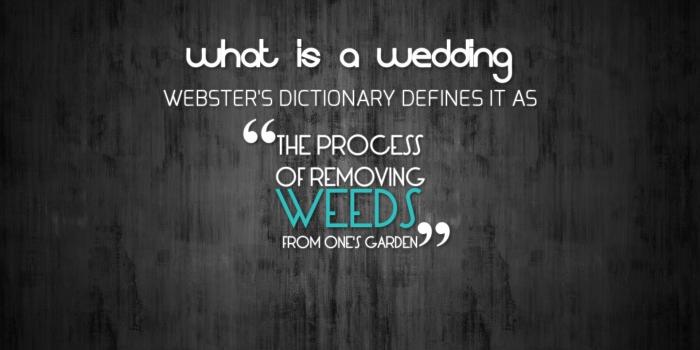 1920x1227 Funny & Cute Mobile wallpapers and quotes