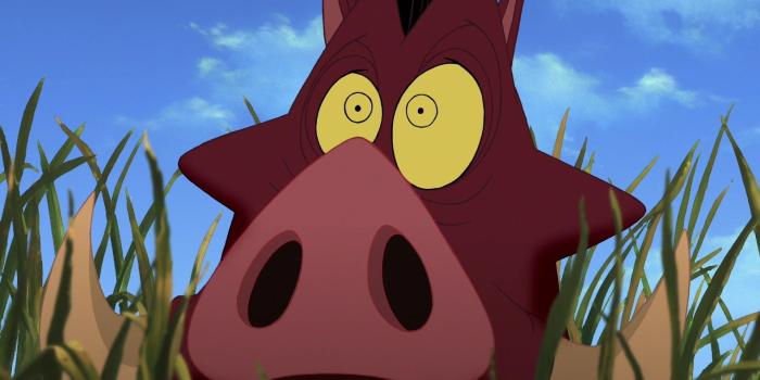 1920x1080 Timon Wallpaper ·① WallpaperTag