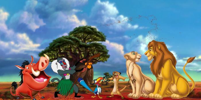 1920x1080 Timon Wallpaper (67+ pictures)