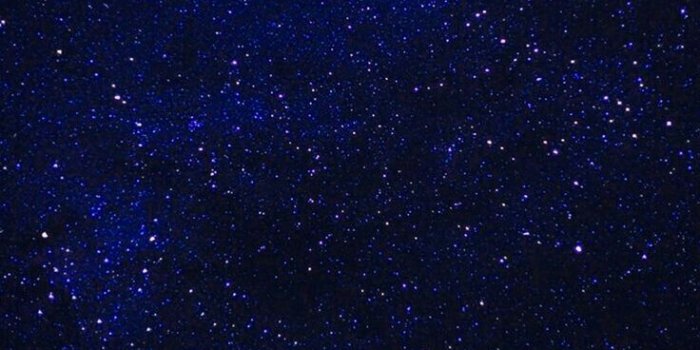 736x1308 BTS Jimin Serendipity Wallpapers