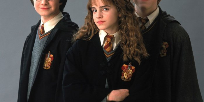 1500x1843 Jahmuna Rogers on Harry Potter in 2019 | Harry potter