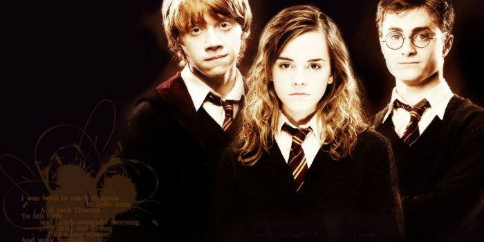 1024x768 Harry Potter images hp HD wallpaper and background photos (34907515)