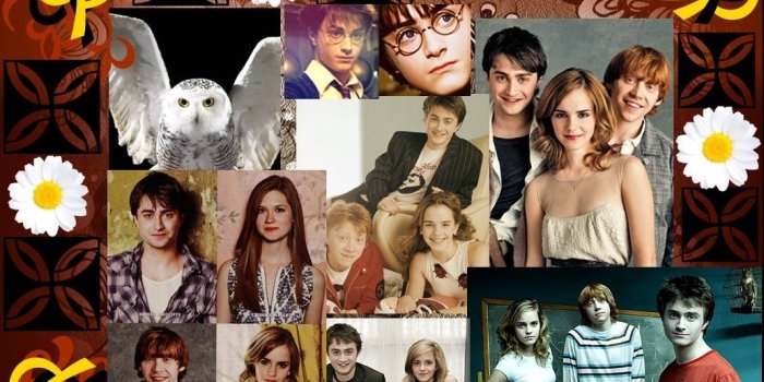 1032x774 Harry Potter images The Trio HD wallpaper and background photos