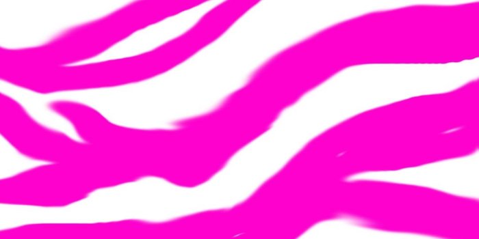 1079x1920 Neon pink zebra | Wallpaper in 2019 | Animal print wallpaper, Pink