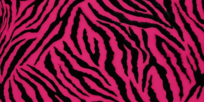 1024x768 40+ Hot Pink Zebra Wallpapers - Download at WallpaperBro