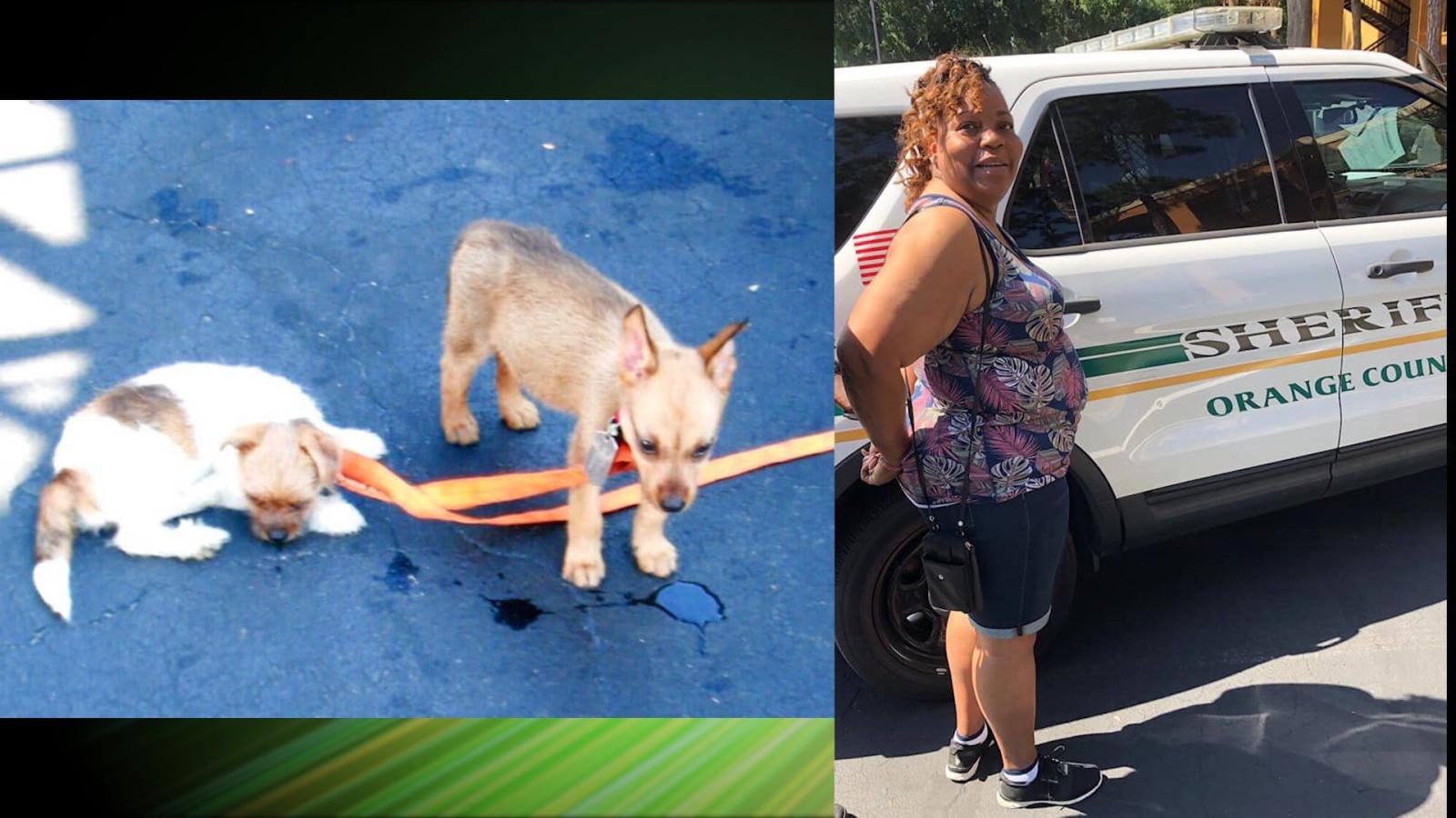1920x1080 Woman leaves dogs to die in hot SUV, police says