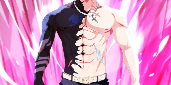 1860x2848 Fairy Tail Gray Fullbuster Wallpaper (73+ images)