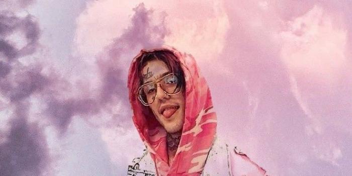 734x1309 64718140 Wallpaper HD Phone on Music Wallpapers in 2019 | Lil