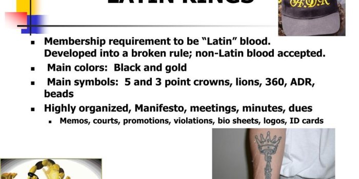 1024x768 PPT - Identifying and Understanding Street Gangs PowerPoint