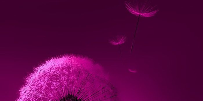 720x1280 Awesome Lock Screen Wallpaper - Bing images | Pink Wallpaper! in