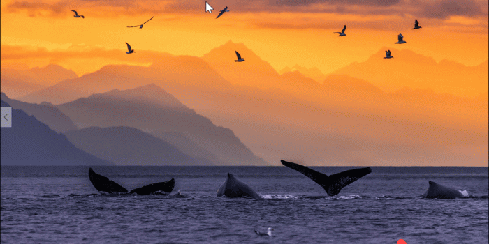 1000x806 Set Your Windows 10 Lock Screen and Wallpaper to Bing Daily Images