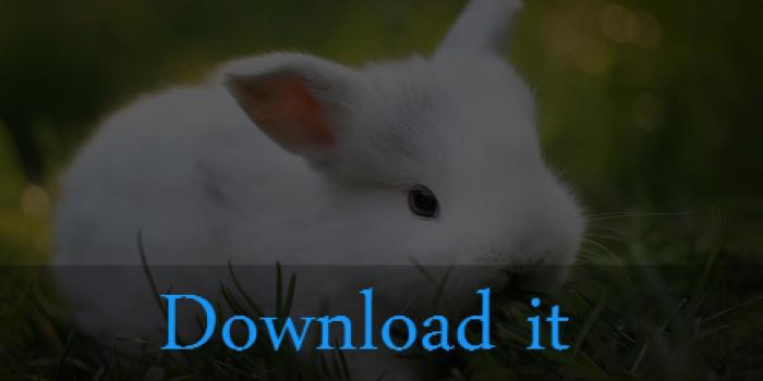 1920x1080 Cute Baby Animal Wallpaper ·① WallpaperTag