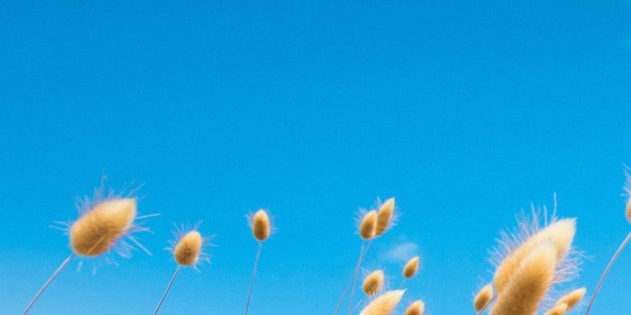 1080x1920 Wallpaper Home And Lockscreen | Wallpaper Home