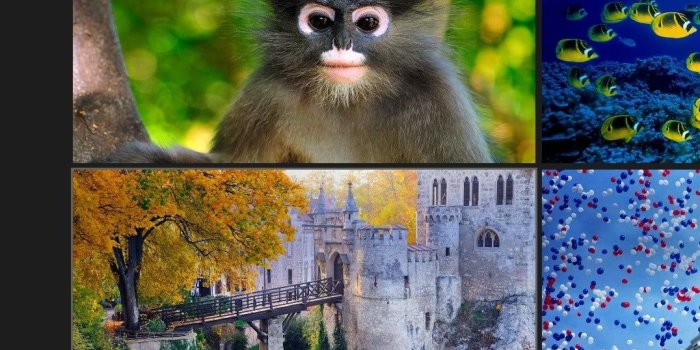 1076x1010 Change Windows 8's lock screen using Bing's background images