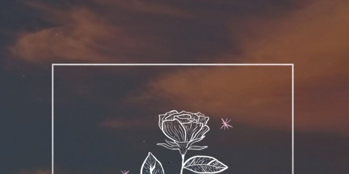 1081x1920 Silver Moon Wallpapers
