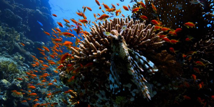 2560x1080 4k Ultra Wide Wallpapers - Ultrawide Wallpaper 4k Free Wallpaper