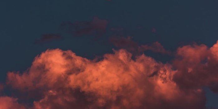 1000x1500 20+ Best Free Full Moon Pictures on Unsplash