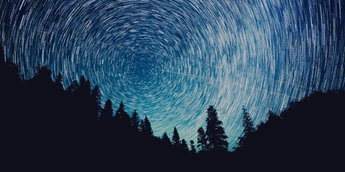 3440x1440 Silhouette of trees under night sky, ultrawide, landscape, nature