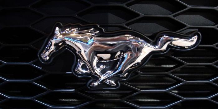 1024x768 Ford Mustang Logo Wallpapers Hd Wallpaper Gallery, ford mustang hd