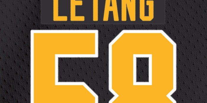 1080x1920 Wallpapers | Pittsburgh Penguins