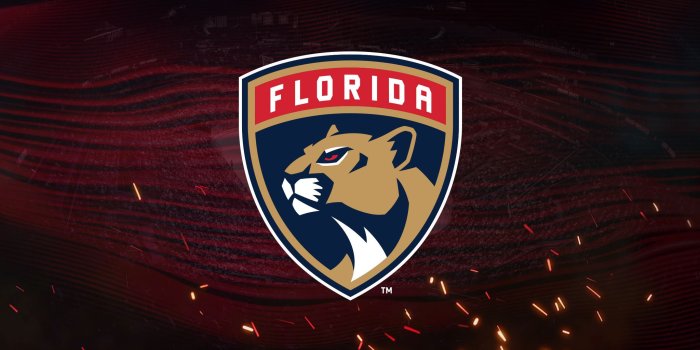 2048x1152 Florida Panthers vs. Vegas Golden Knights - Sunrise, FL - AARP