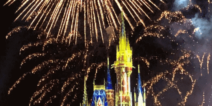 1242x2208 WDW Happily Ever After Fireworks | Disney cell wallpaper | Disney