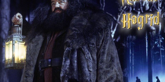 1024x768 Hagrid - Rubeus Hagrid Wallpaper (19420505) - Fanpop
