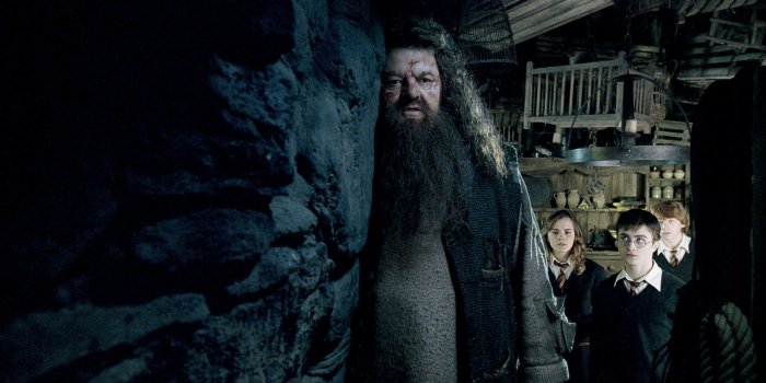 1920x1158 Rubeus Hagrid images Hagrid HD fond d'écran and background photos