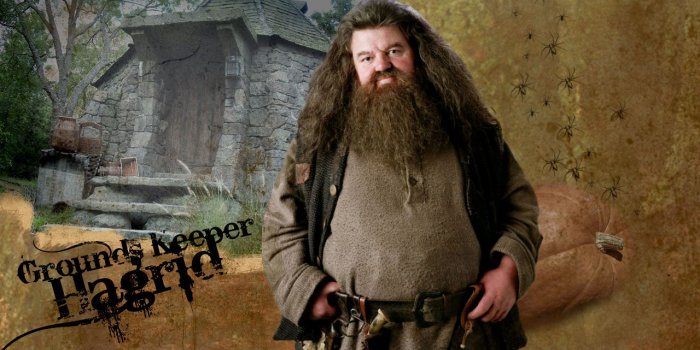 1280x800 Best 56+ Hagrid Wallpaper on HipWallpaper | Hagrid Wallpaper,