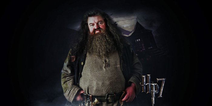 1920x1200 Rubeus Hagrid HP72 1920×1200 hp7 – Digital Citizen