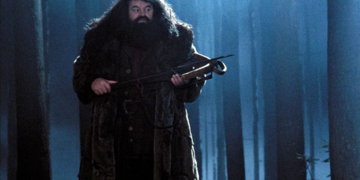 1024x768 Rubeus Hagrid wallpaper - Hogwarts Professors wallpaper (32795937