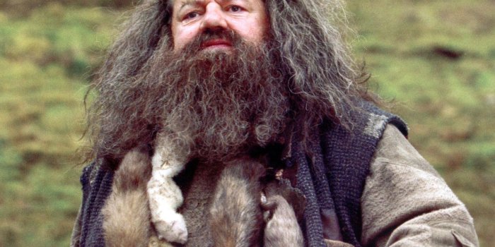 1460x1156 hagrid - harry potter Wallpaper and Background Image | 1460x1156