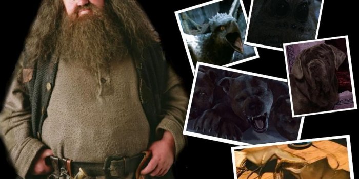 1024x768 Hagrid | harry potter | Harry potter images, Harry potter wallpaper