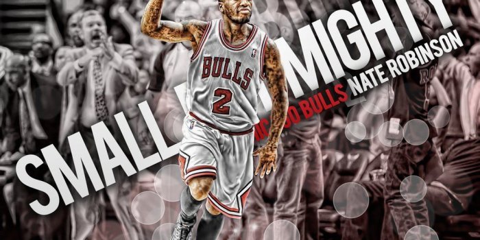 1010x791 Nate Robinson Wallpapers