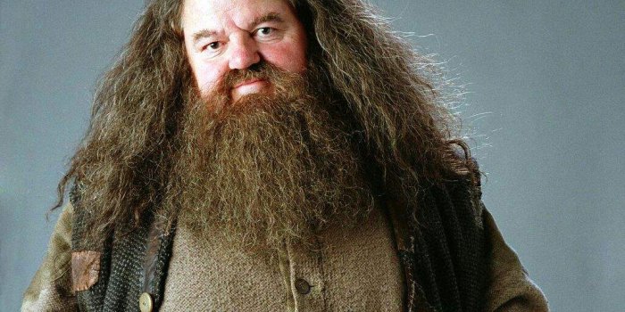 1024x768 Rubeus Hagrid | Harry Potter Amino
